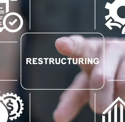 Structuring-Restructuring of Businesses 1